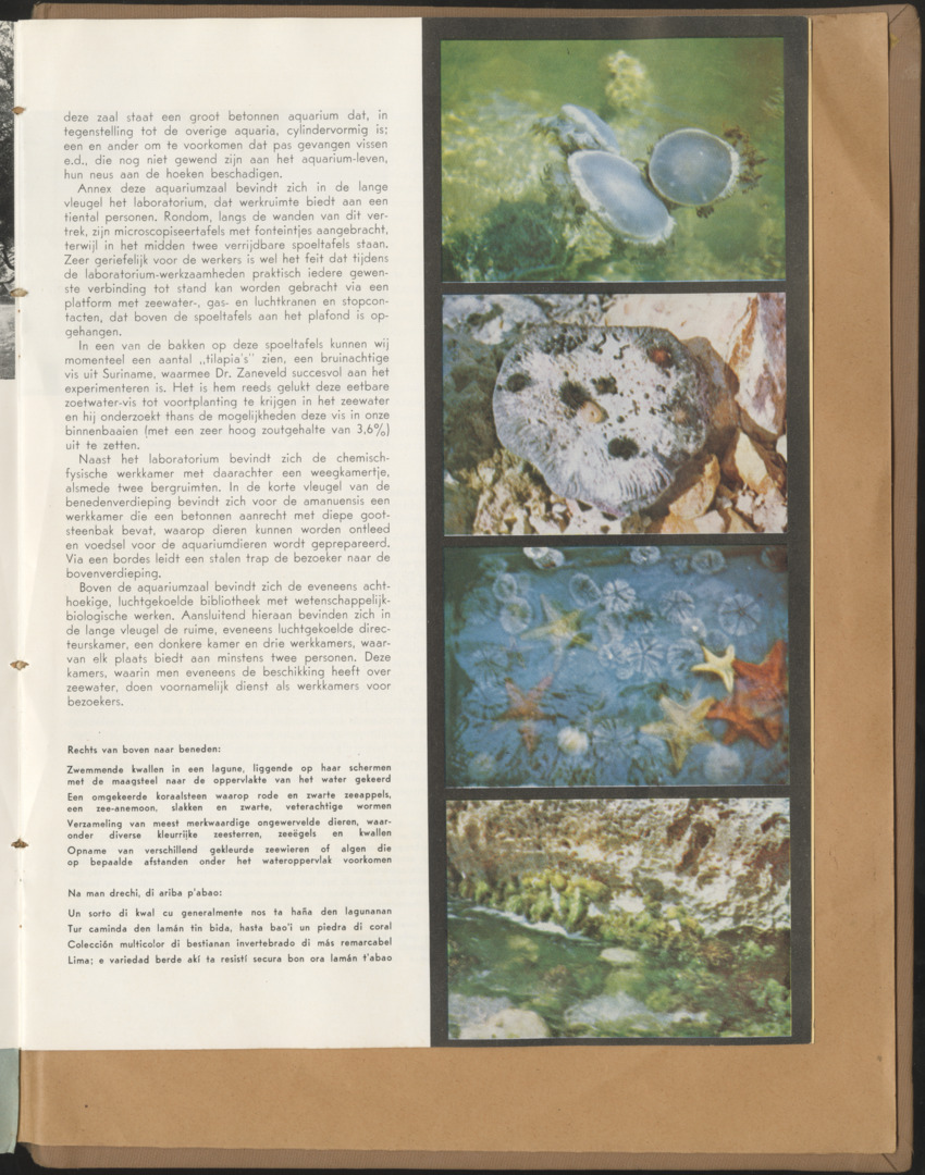 Carmabi Collected Papers Volume 1 - Nos. 1-15, 1956-1959 - Page 391