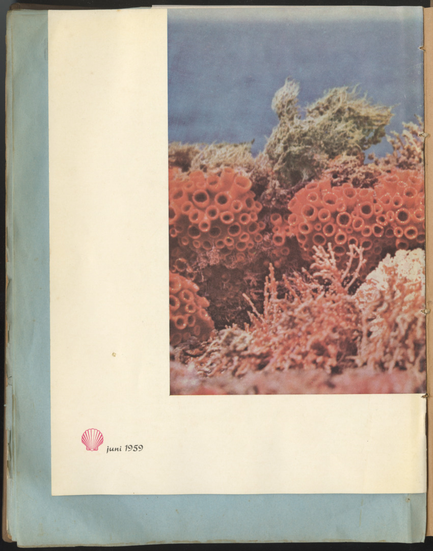 Carmabi Collected Papers Volume 1 - Nos. 1-15, 1956-1959 - Page 396