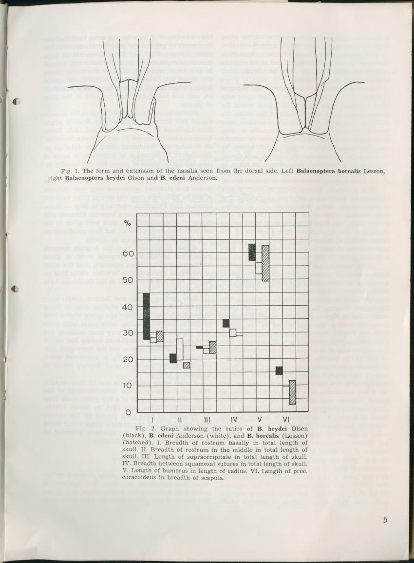 Carmabi Collected Papers Volume 2 - Nos. 16-36, 1959-1963 - New Page