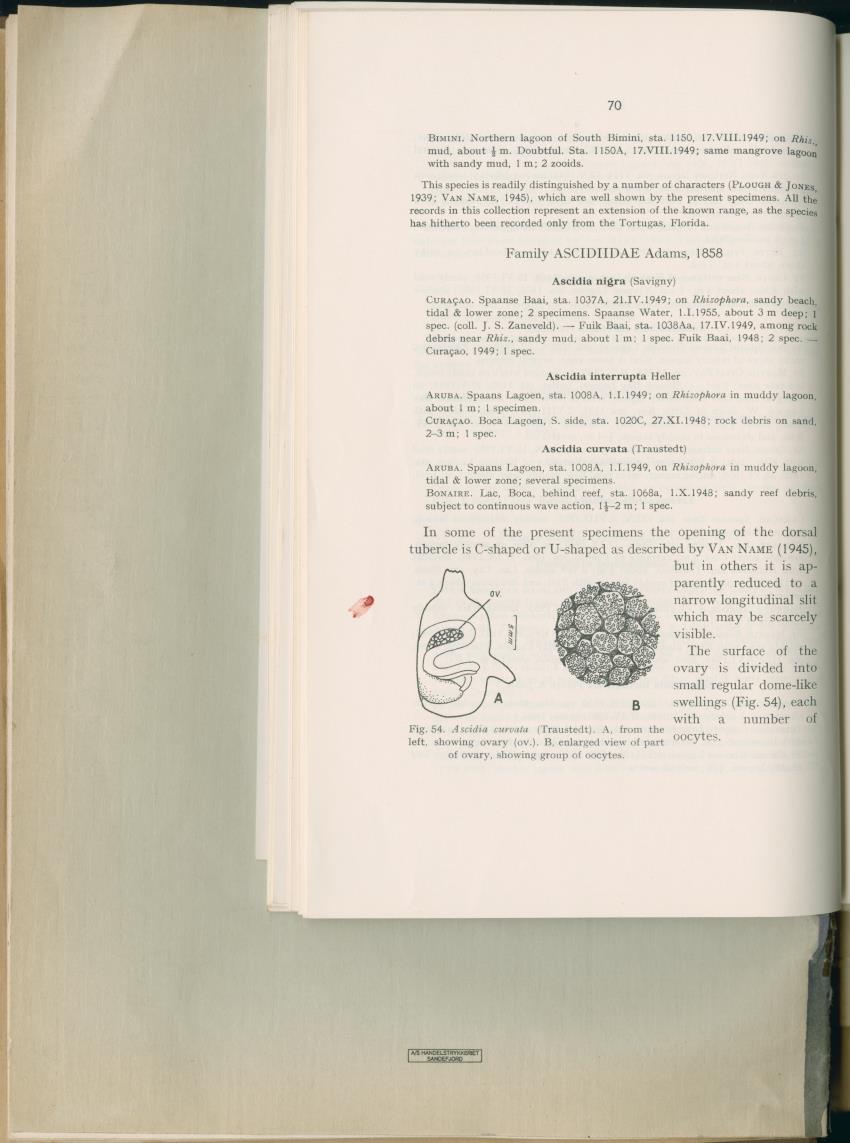 Carmabi Collected Papers Volume 2 - Nos. 16-36, 1959-1963 - New Page