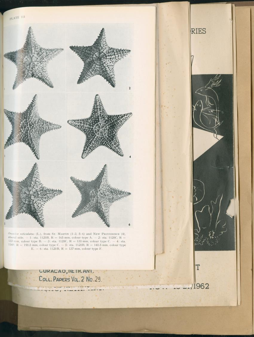 Carmabi Collected Papers Volume 2 - Nos. 16-36, 1959-1963 - New Page