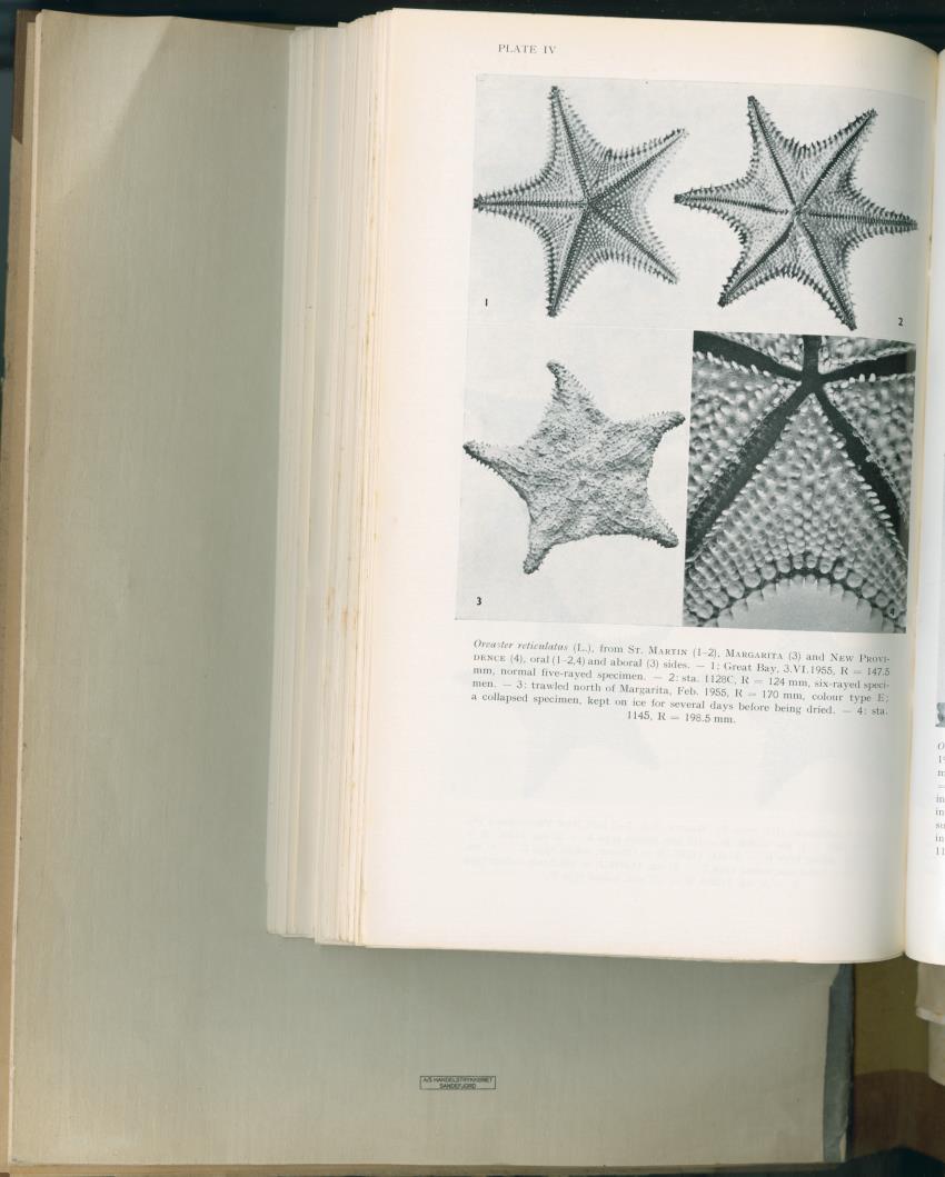 Carmabi Collected Papers Volume 2 - Nos. 16-36, 1959-1963 - New Page