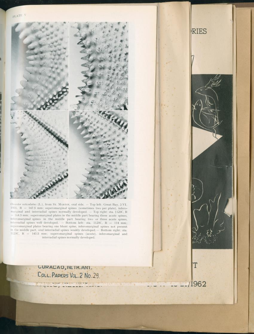 Carmabi Collected Papers Volume 2 - Nos. 16-36, 1959-1963 - New Page