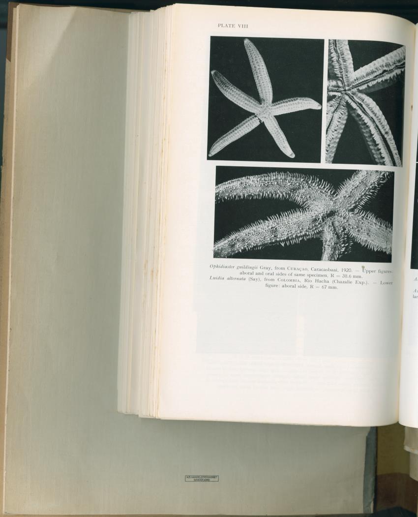 Carmabi Collected Papers Volume 2 - Nos. 16-36, 1959-1963 - New Page