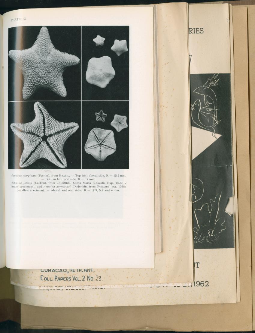 Carmabi Collected Papers Volume 2 - Nos. 16-36, 1959-1963 - New Page