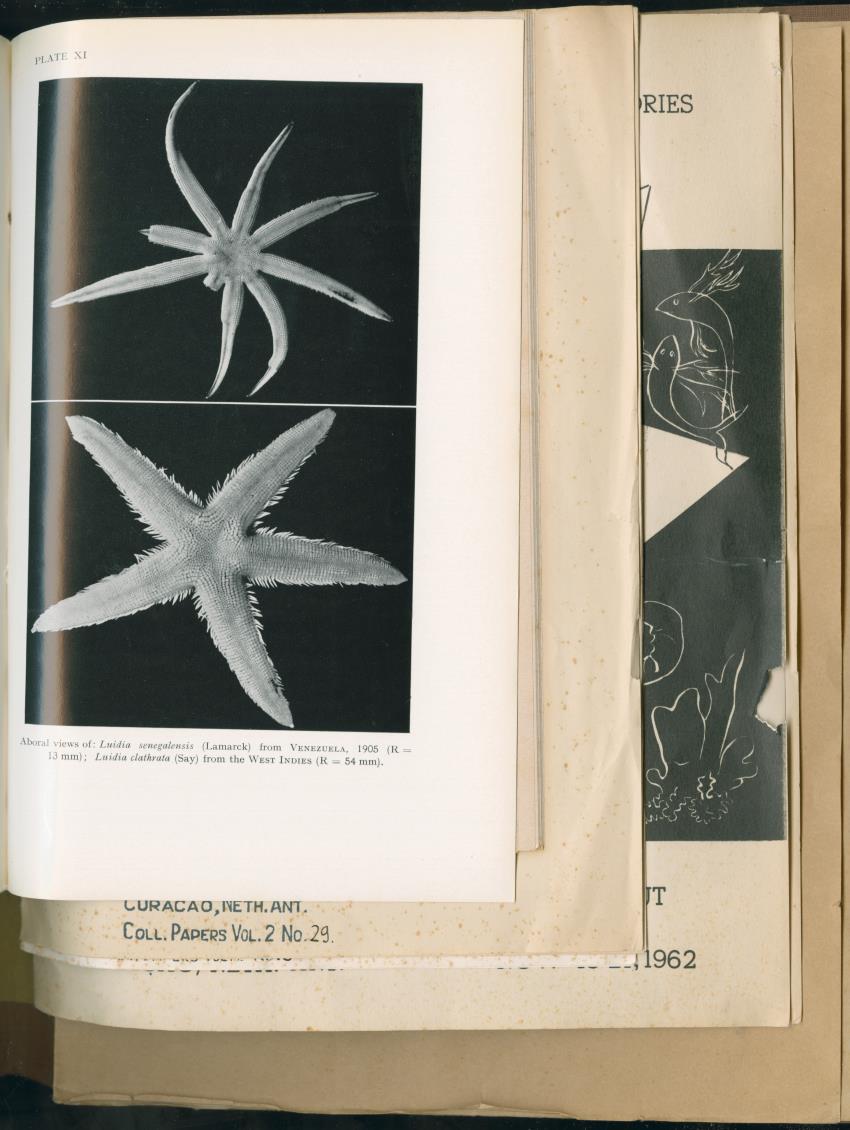 Carmabi Collected Papers Volume 2 - Nos. 16-36, 1959-1963 - New Page