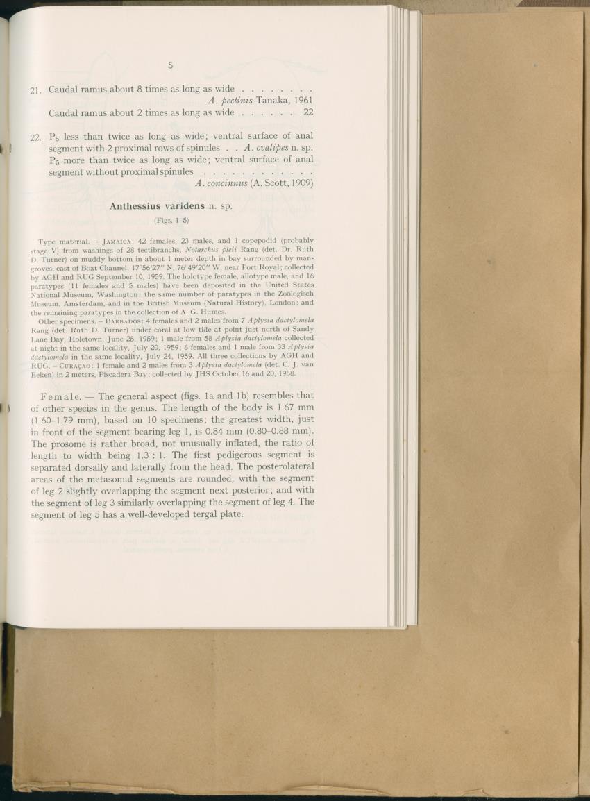 Carmabi Collected Papers Volume 2 - Nos. 16-36, 1959-1963 - New Page