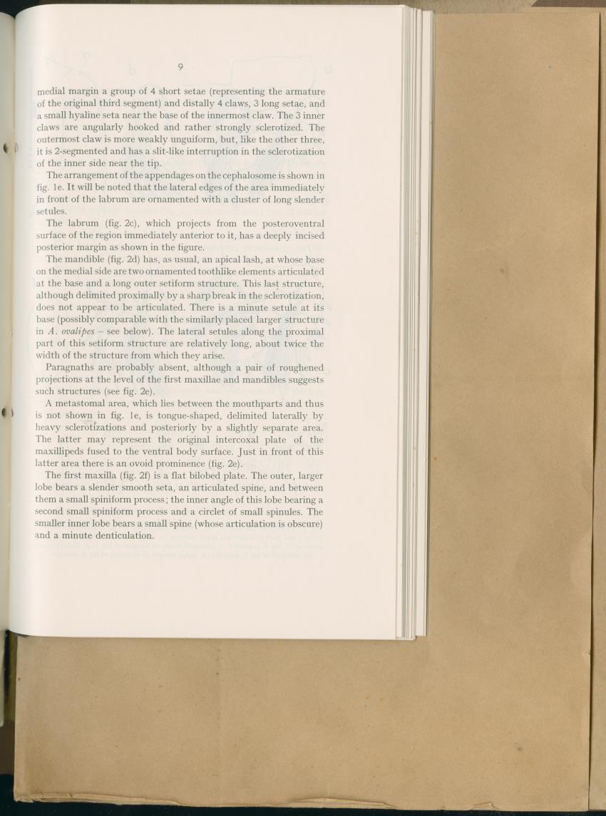 Carmabi Collected Papers Volume 2 - Nos. 16-36, 1959-1963 - New Page