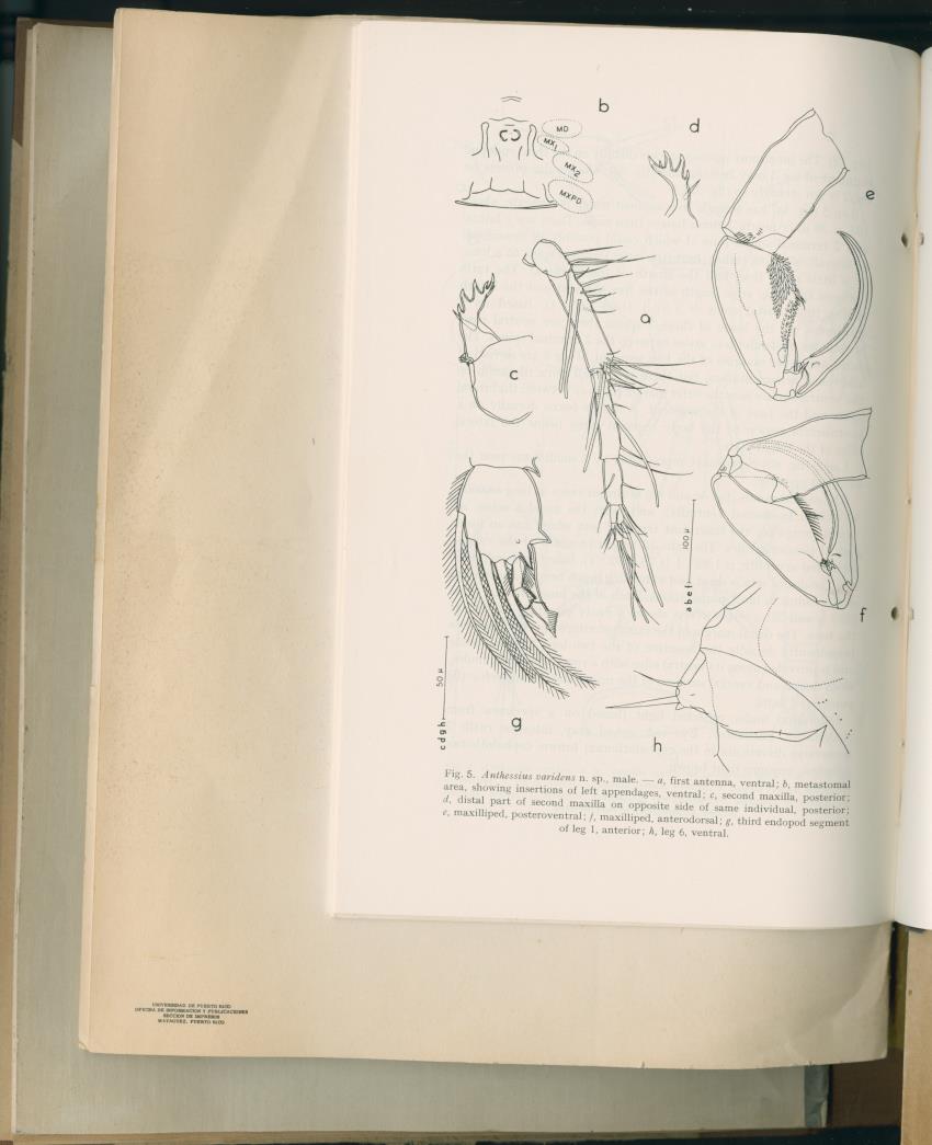 Carmabi Collected Papers Volume 2 - Nos. 16-36, 1959-1963 - New Page