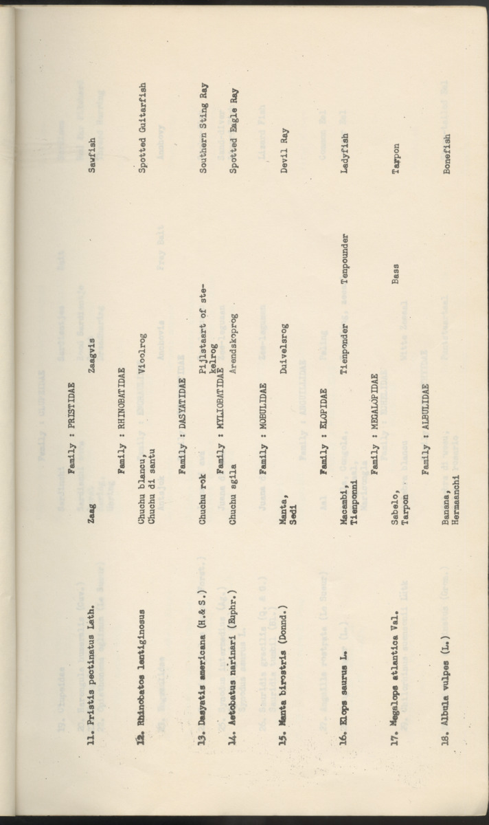 Carmabi Collected Papers Volume 2 - Nos. 16-36, 1959-1963 - New Page