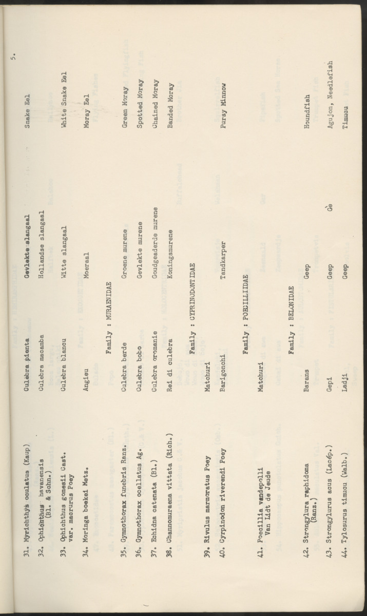 Carmabi Collected Papers Volume 2 - Nos. 16-36, 1959-1963 - New Page