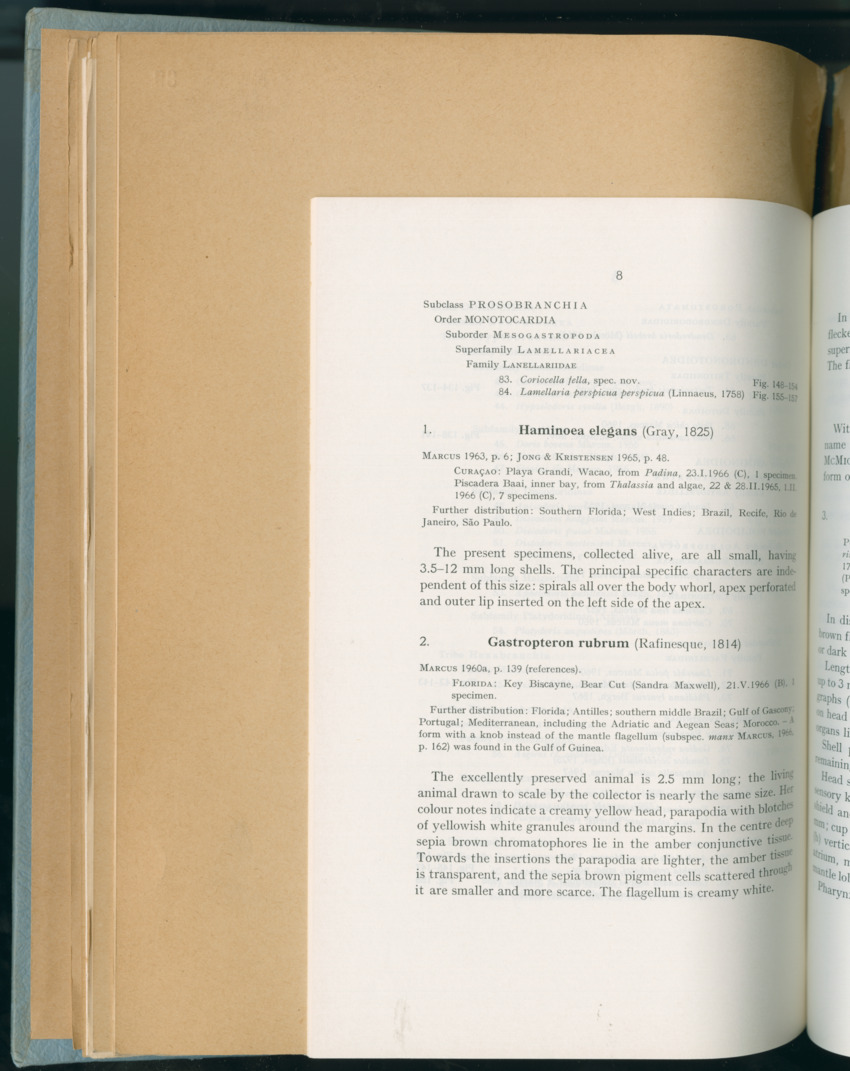 Carmabi Collected Papers Volume 6 - Nos. 84-97, 1969-1971 - New Page