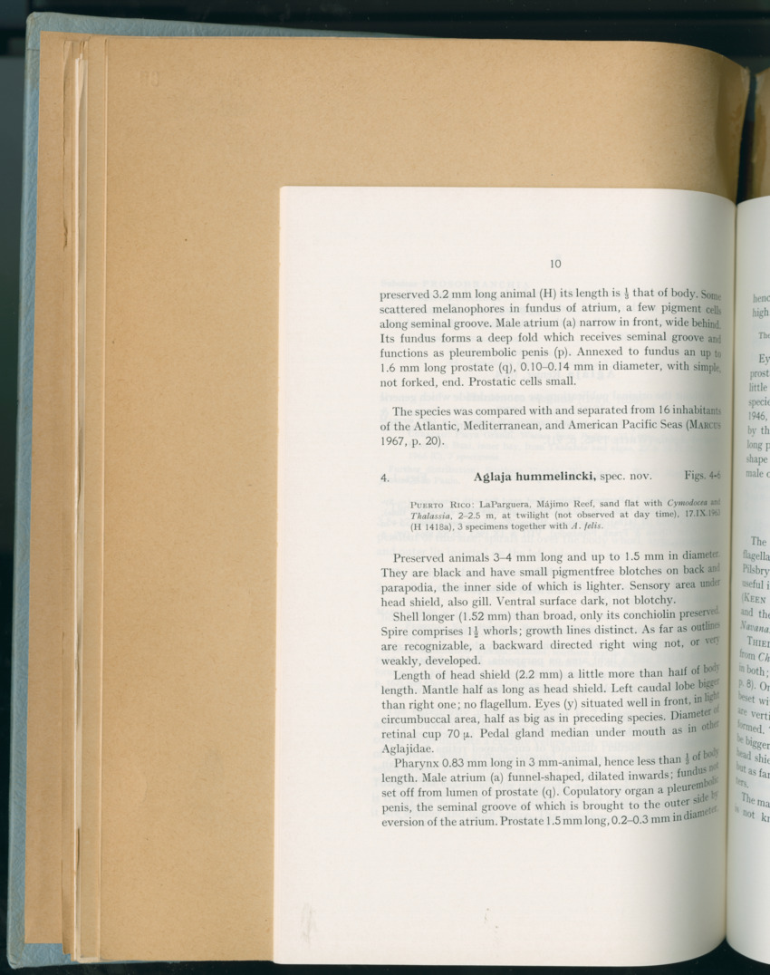 Carmabi Collected Papers Volume 6 - Nos. 84-97, 1969-1971 - New Page