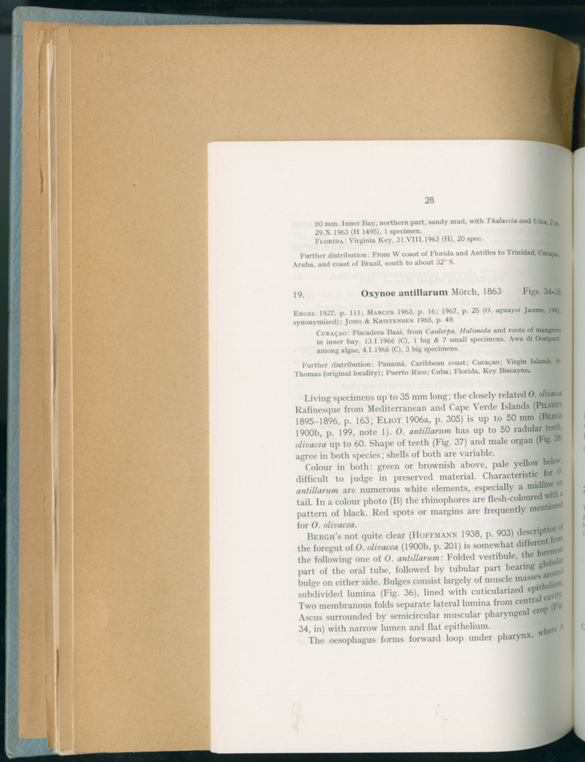 Carmabi Collected Papers Volume 6 - Nos. 84-97, 1969-1971 - New Page