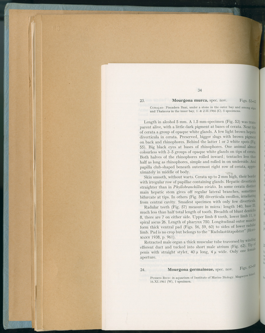 Carmabi Collected Papers Volume 6 - Nos. 84-97, 1969-1971 - New Page