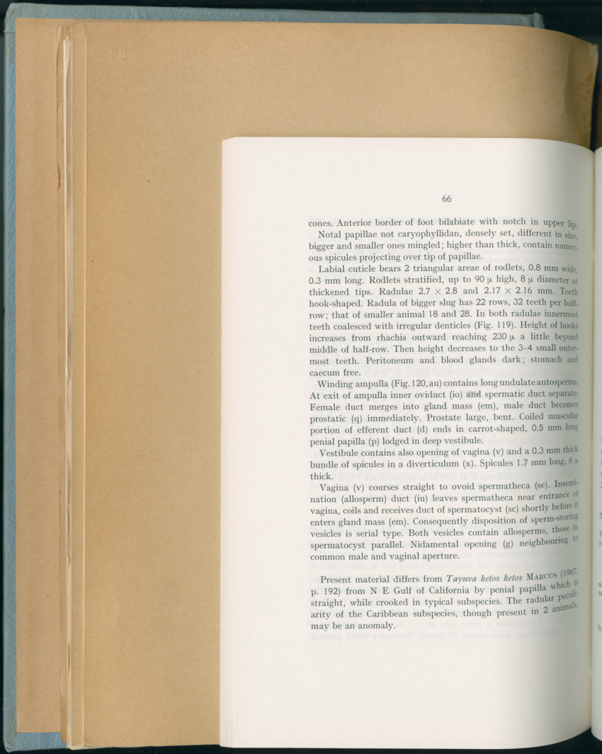Carmabi Collected Papers Volume 6 - Nos. 84-97, 1969-1971 - New Page