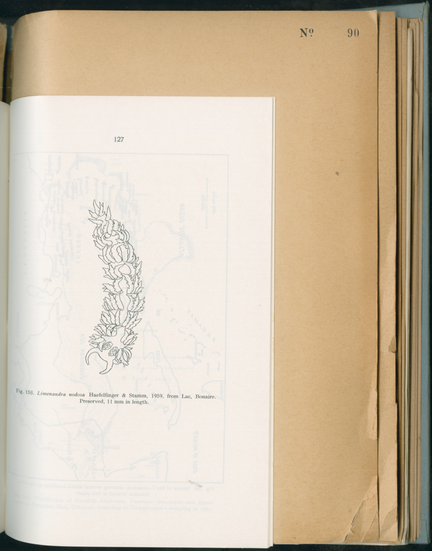 Carmabi Collected Papers Volume 6 - Nos. 84-97, 1969-1971 - New Page