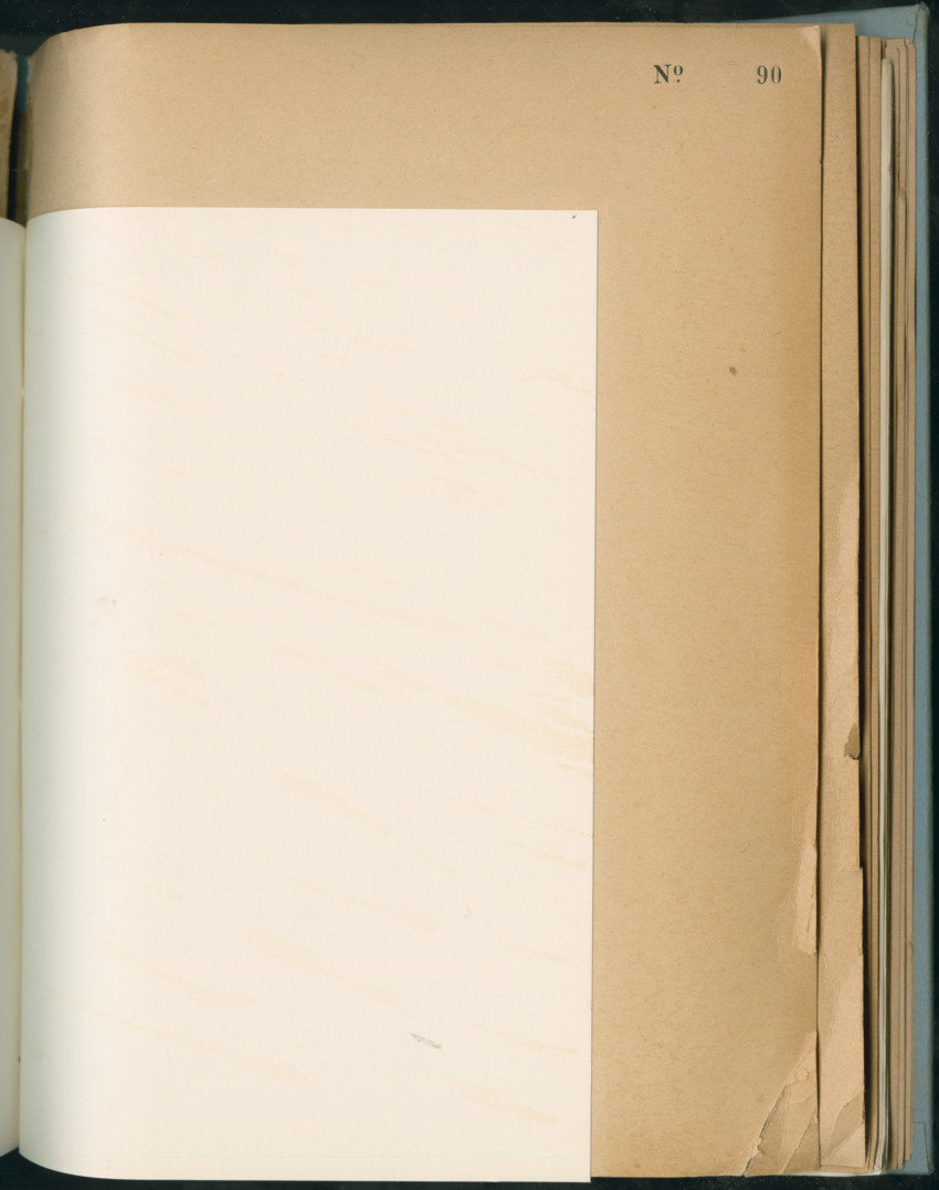 Carmabi Collected Papers Volume 6 - Nos. 84-97, 1969-1971 - New Page