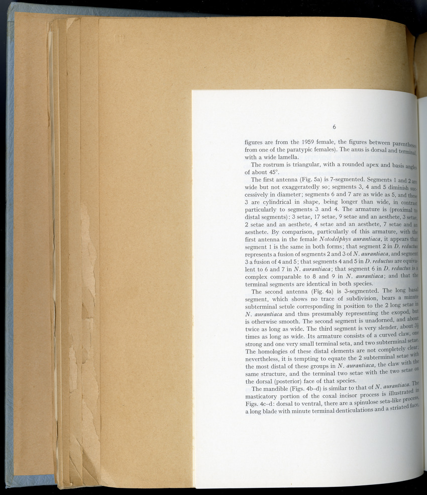 Carmabi Collected Papers Volume 6 - Nos. 84-97, 1969-1971 - New Page