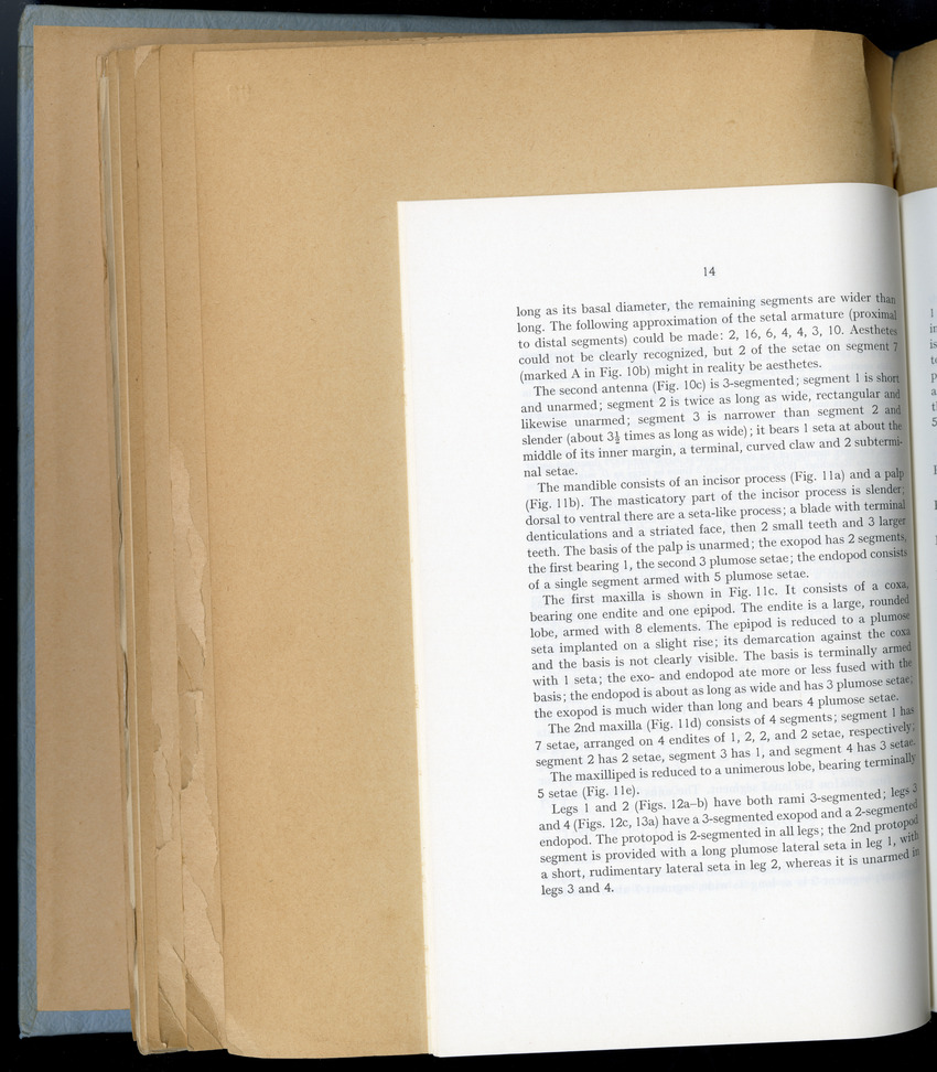 Carmabi Collected Papers Volume 6 - Nos. 84-97, 1969-1971 - New Page