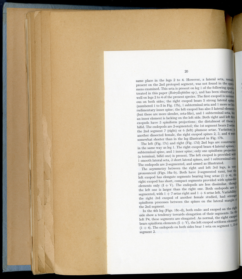 Carmabi Collected Papers Volume 6 - Nos. 84-97, 1969-1971 - New Page