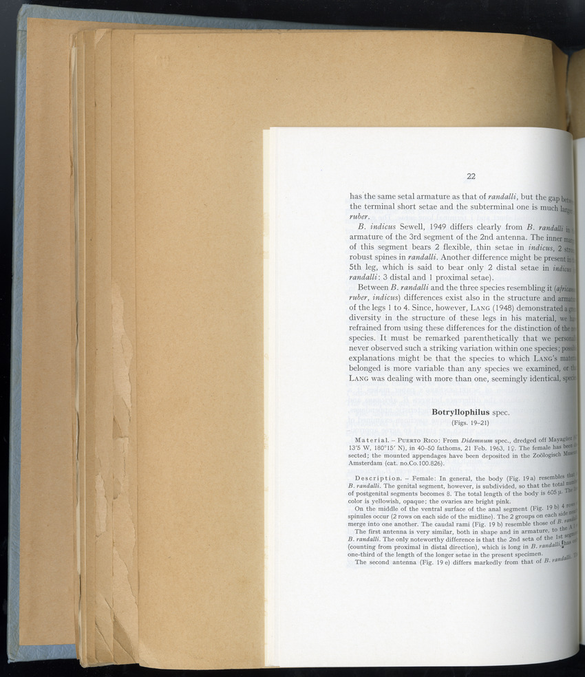Carmabi Collected Papers Volume 6 - Nos. 84-97, 1969-1971 - New Page