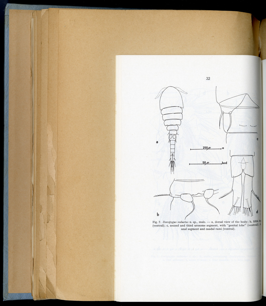 Carmabi Collected Papers Volume 6 - Nos. 84-97, 1969-1971 - New Page