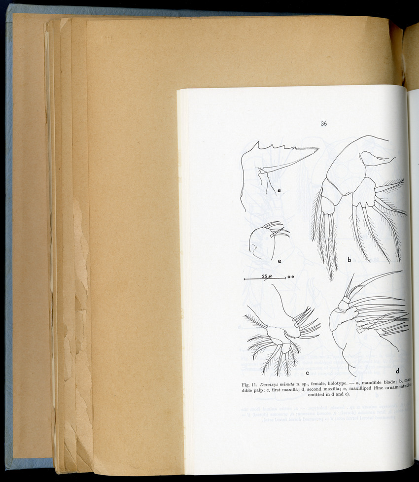 Carmabi Collected Papers Volume 6 - Nos. 84-97, 1969-1971 - New Page