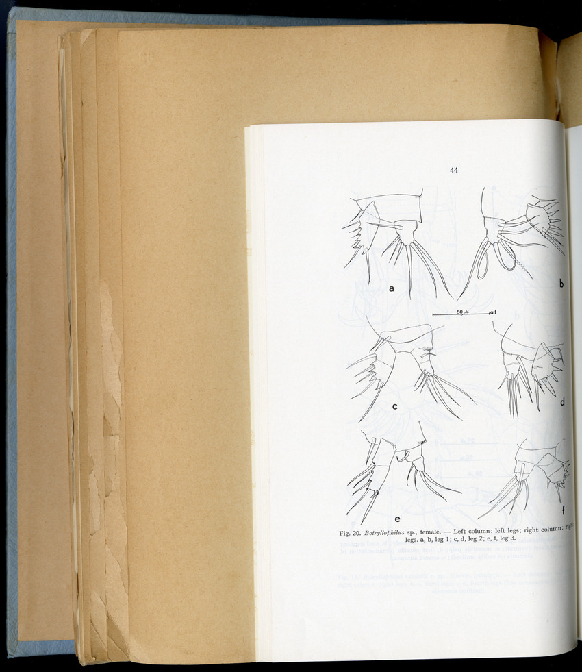 Carmabi Collected Papers Volume 6 - Nos. 84-97, 1969-1971 - New Page