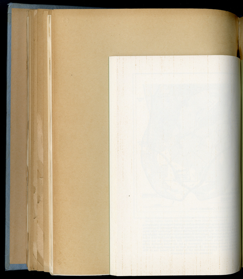 Carmabi Collected Papers Volume 6 - Nos. 84-97, 1969-1971 - New Page