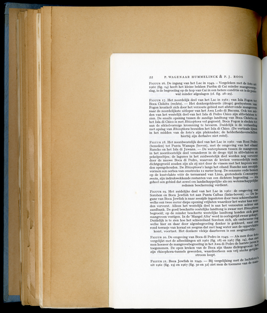 Carmabi Collected Papers Volume 6 - Nos. 84-97, 1969-1971 - New Page