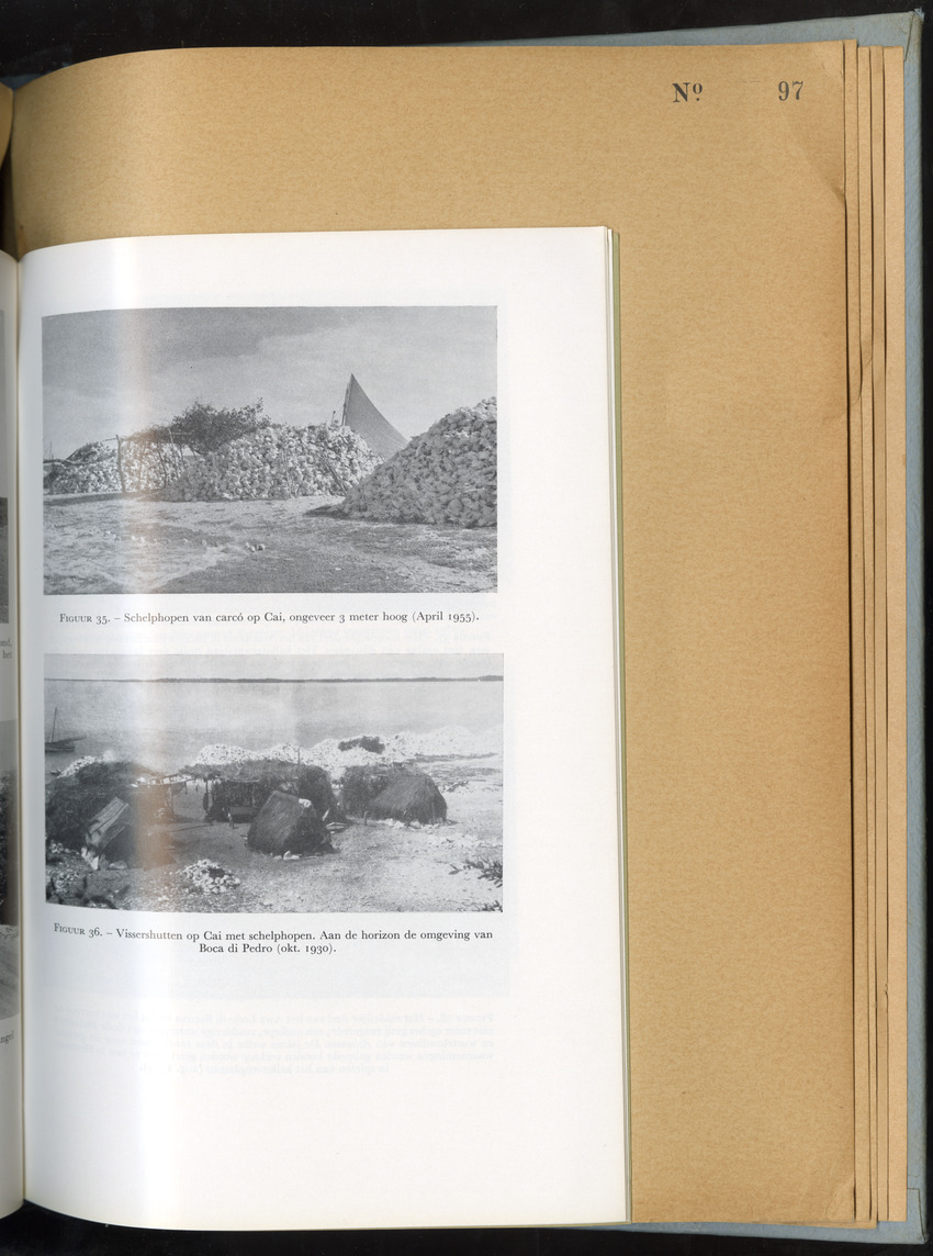 Carmabi Collected Papers Volume 6 - Nos. 84-97, 1969-1971 - New Page
