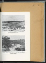 MISSING THUMBNAIL