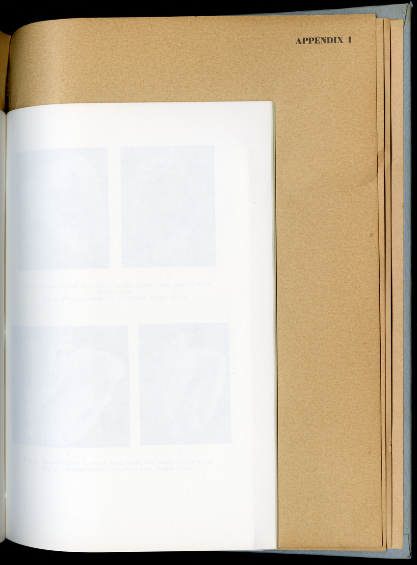 Carmabi Collected Papers Volume 6 - Nos. 84-97, 1969-1971 - New Page