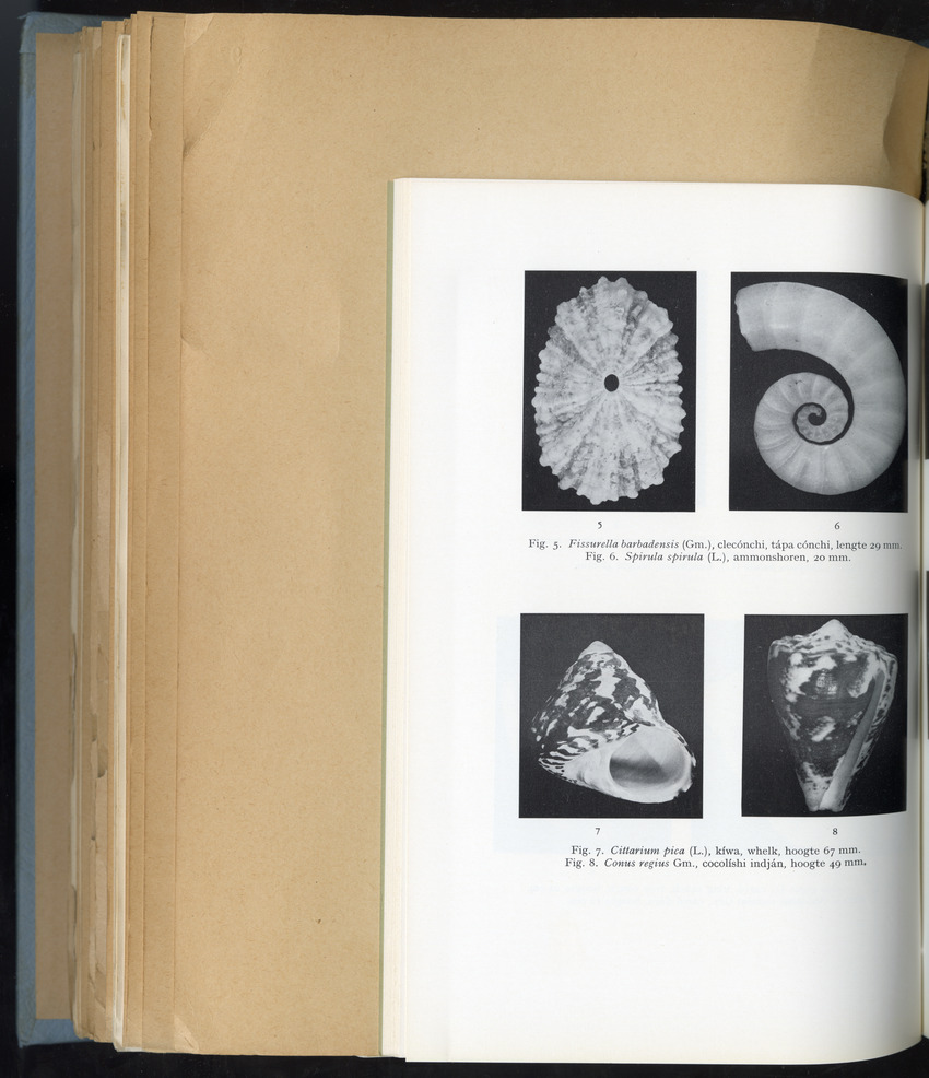 Carmabi Collected Papers Volume 6 - Nos. 84-97, 1969-1971 - New Page