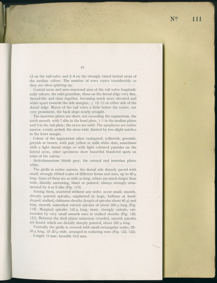 Carmabi Collected Papers Volume 8 - Nos. 110-125, 1972-1973 - New Page