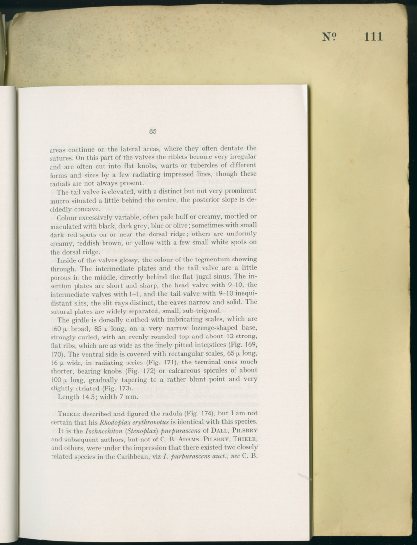 Carmabi Collected Papers Volume 8 - Nos. 110-125, 1972-1973 - New Page