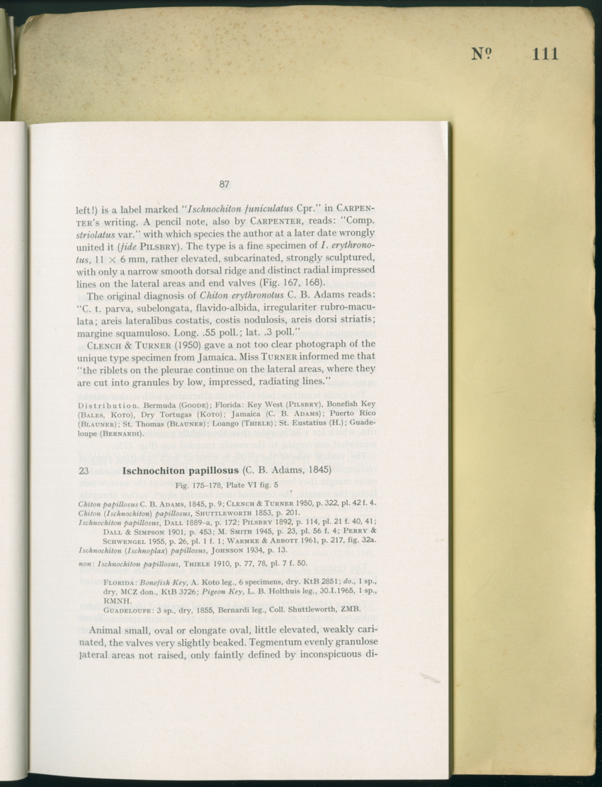 Carmabi Collected Papers Volume 8 - Nos. 110-125, 1972-1973 - New Page