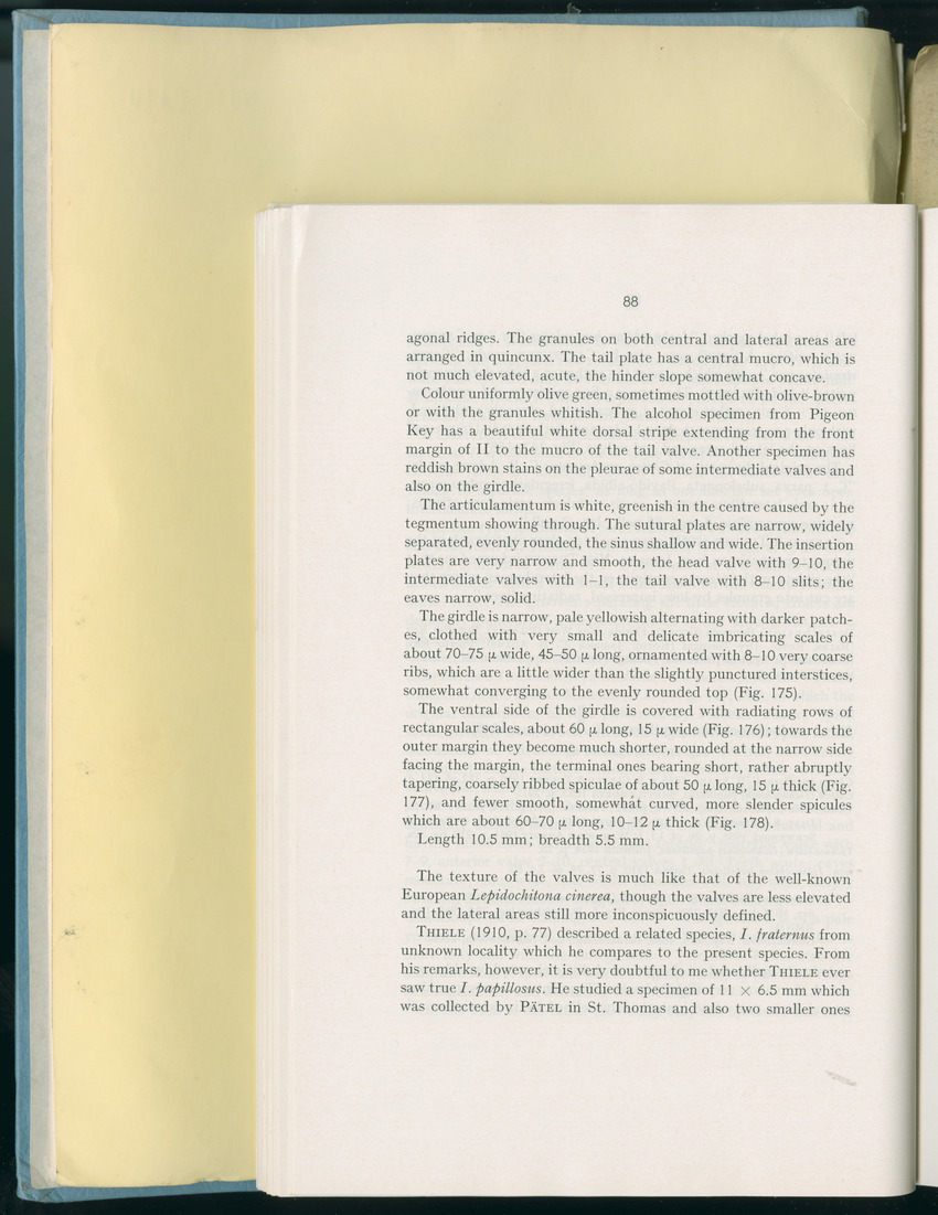Carmabi Collected Papers Volume 8 - Nos. 110-125, 1972-1973 - New Page