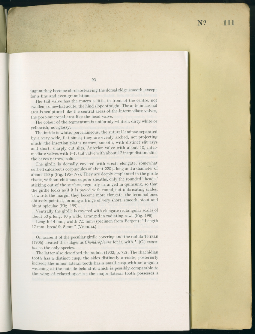 Carmabi Collected Papers Volume 8 - Nos. 110-125, 1972-1973 - New Page