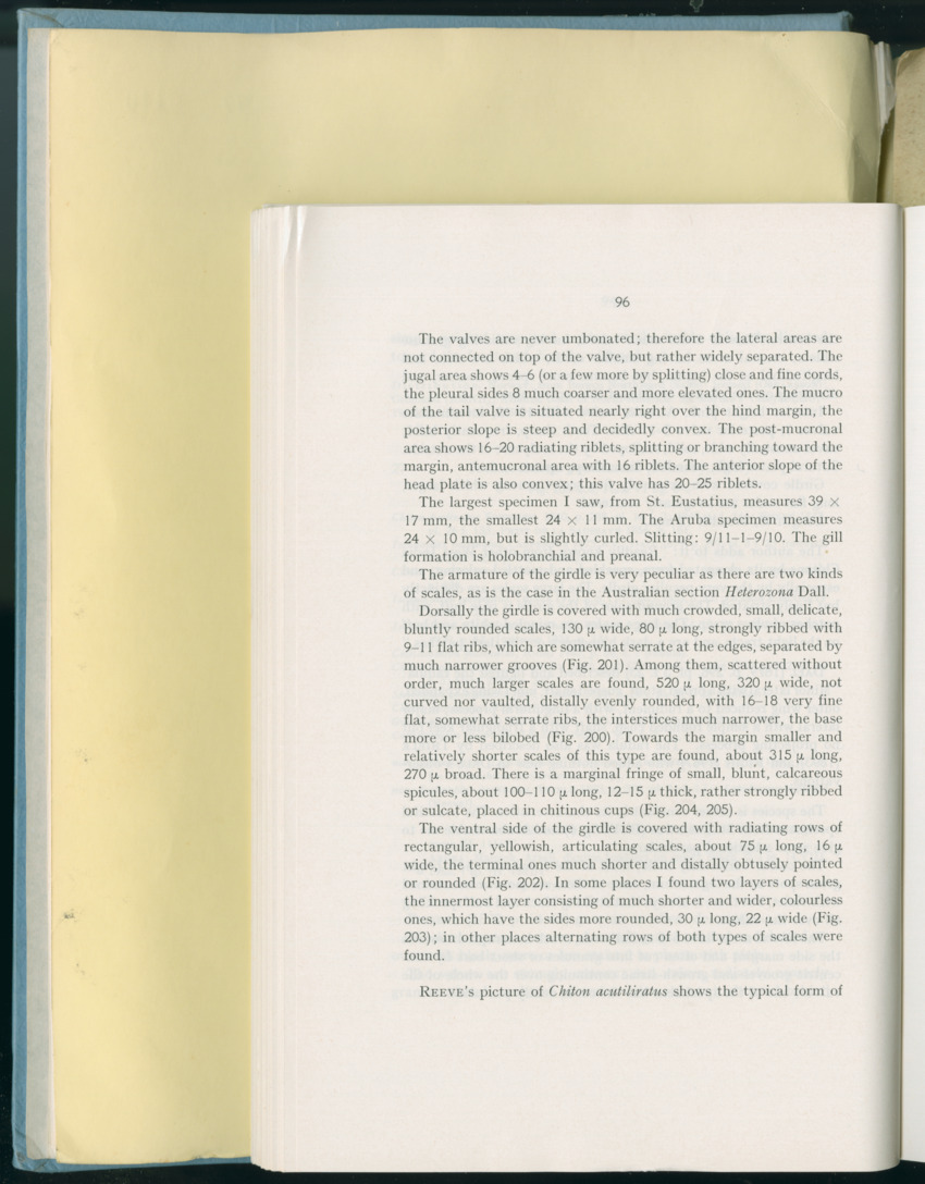 Carmabi Collected Papers Volume 8 - Nos. 110-125, 1972-1973 - New Page