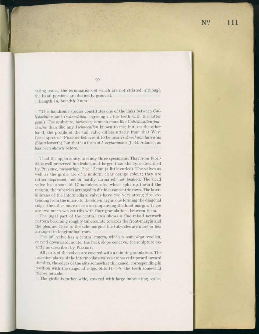 Carmabi Collected Papers Volume 8 - Nos. 110-125, 1972-1973 - New Page