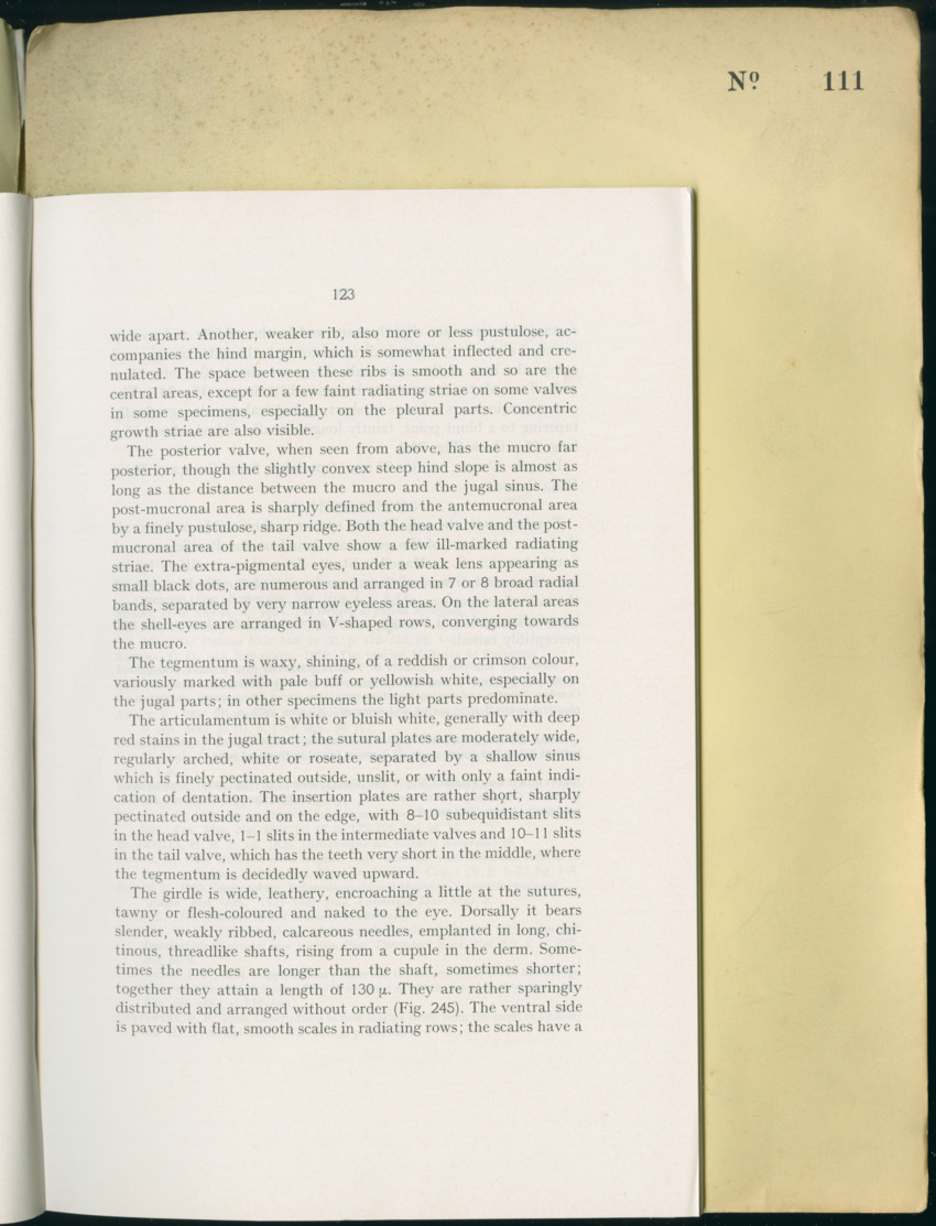 Carmabi Collected Papers Volume 8 - Nos. 110-125, 1972-1973 - New Page