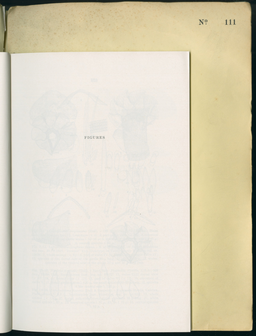 Carmabi Collected Papers Volume 8 - Nos. 110-125, 1972-1973 - New Page