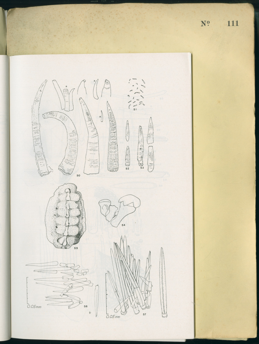 Carmabi Collected Papers Volume 8 - Nos. 110-125, 1972-1973 - New Page