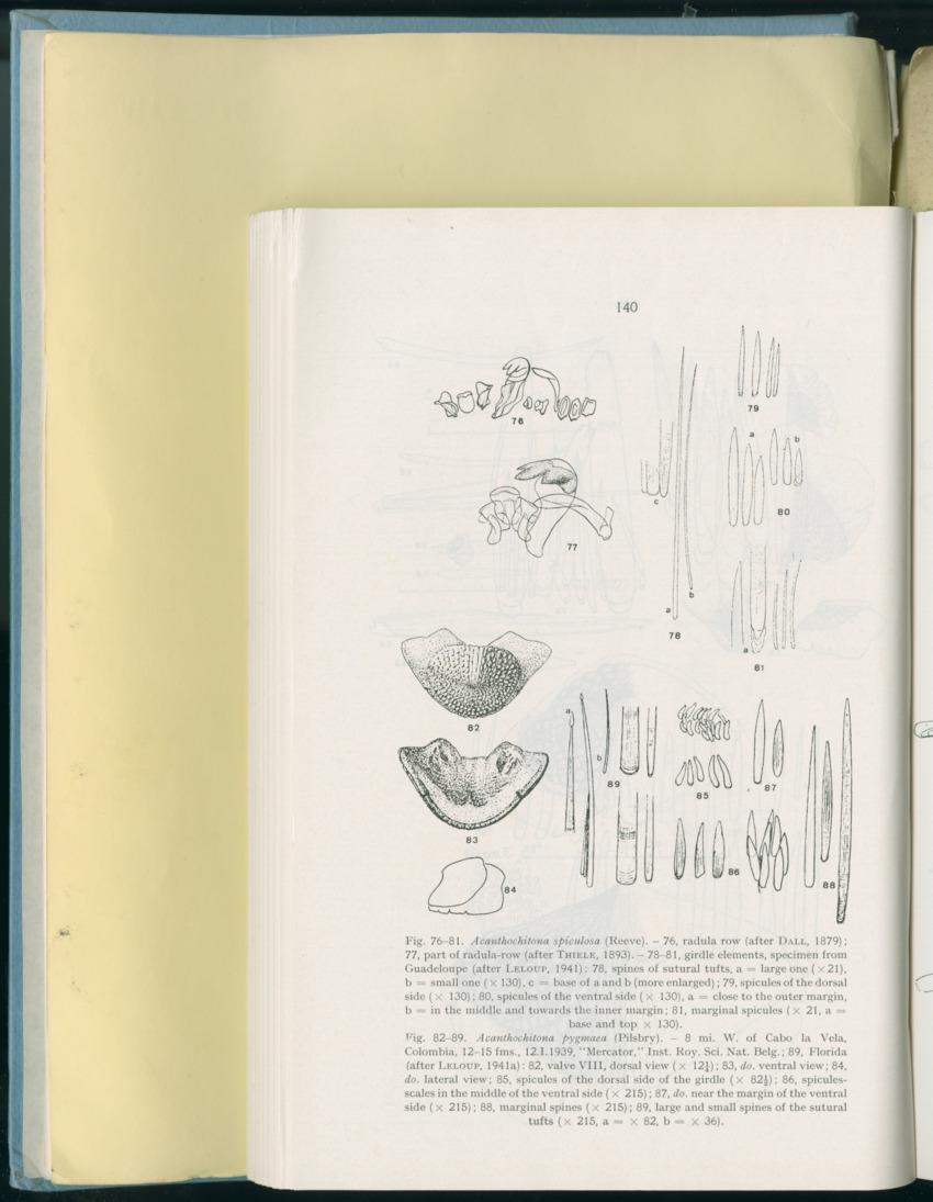Carmabi Collected Papers Volume 8 - Nos. 110-125, 1972-1973 - New Page