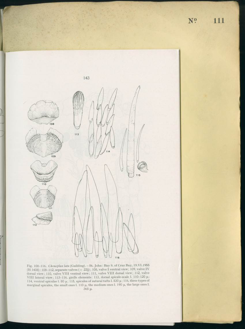 Carmabi Collected Papers Volume 8 - Nos. 110-125, 1972-1973 - New Page
