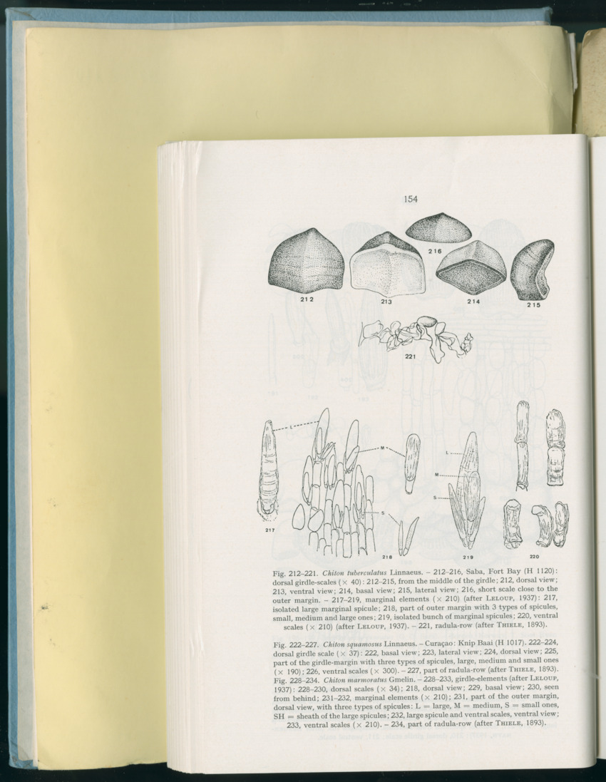 Carmabi Collected Papers Volume 8 - Nos. 110-125, 1972-1973 - New Page