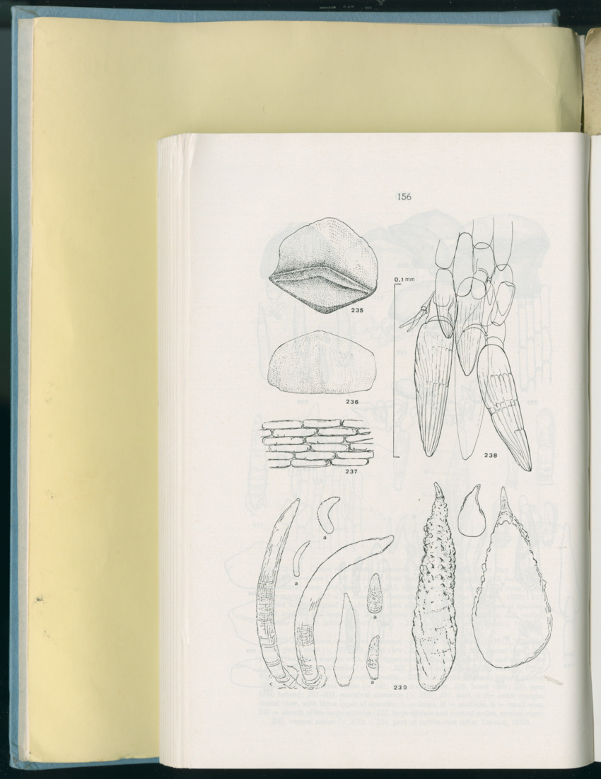 Carmabi Collected Papers Volume 8 - Nos. 110-125, 1972-1973 - New Page