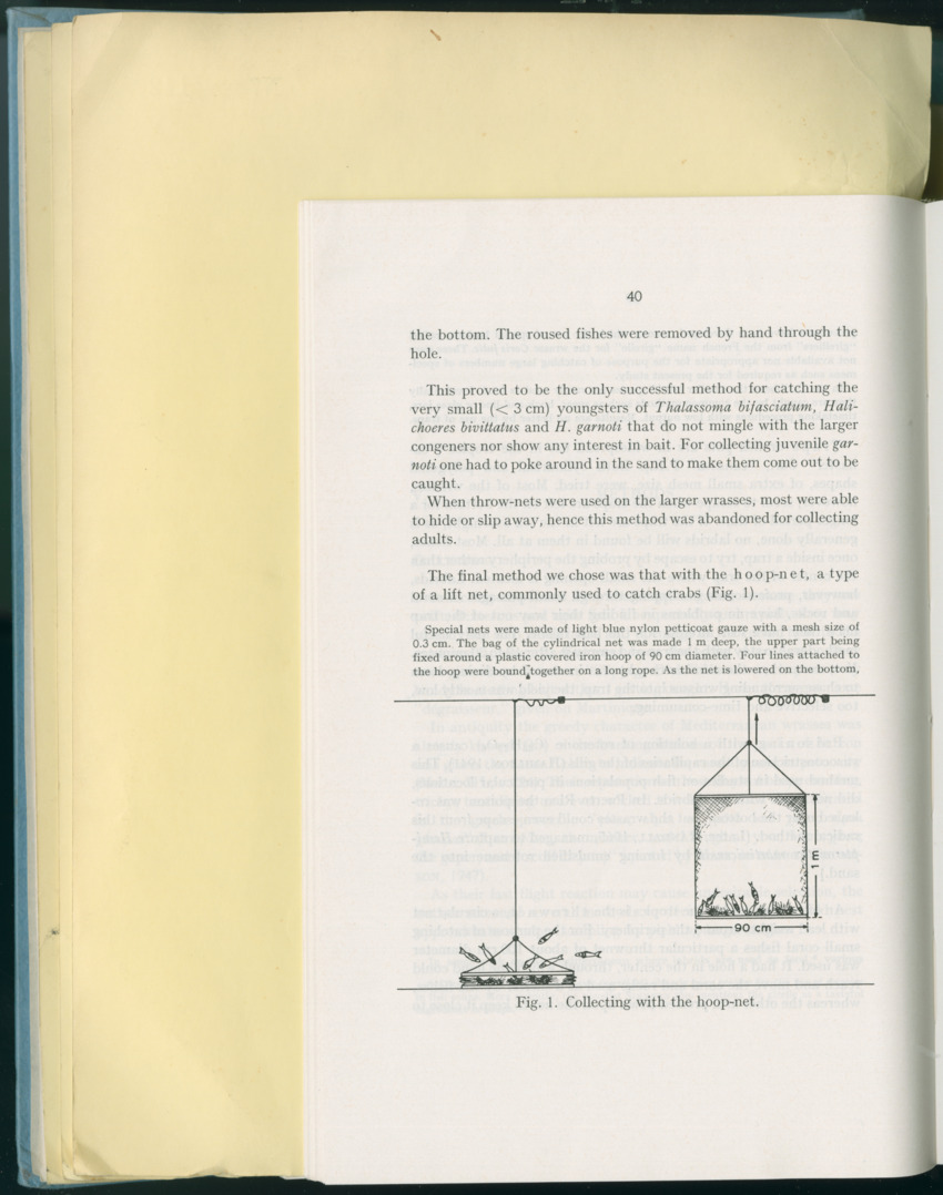 Carmabi Collected Papers Volume 8 - Nos. 110-125, 1972-1973 - New Page